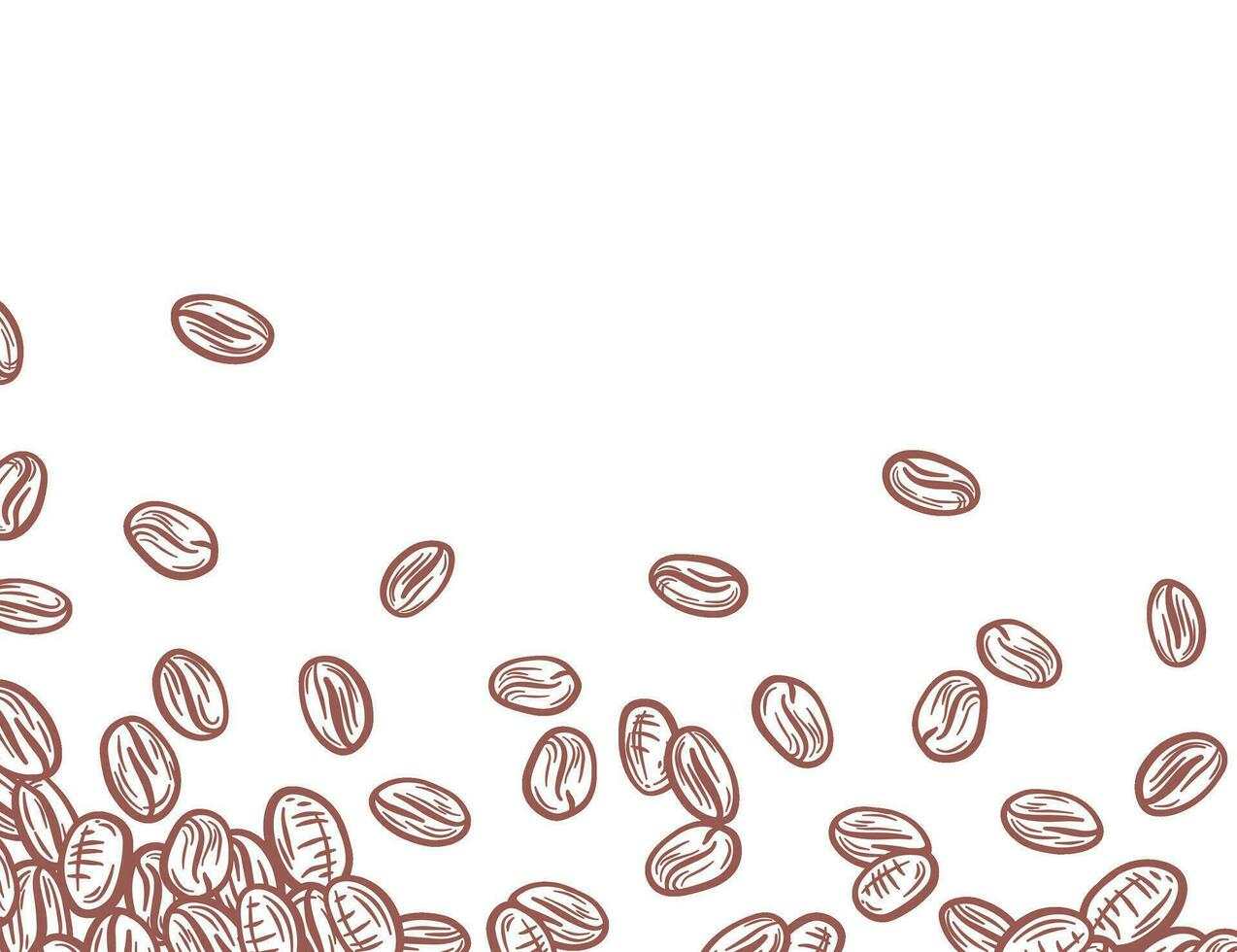 kaffe bakgrund. kaffe bönor i ram, gräns. kaffe bönor isolerat på en vit bakgrund. kaffe bönor tapet. kaffe bönor illustration för förpackning. vektor
