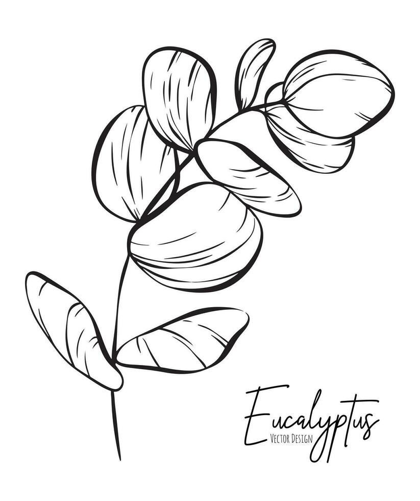 botanisch elegant Linie Illustration von ein Eukalyptus Blätter Ast zum Hochzeit Einladung und Karten, Logo Design, Netz, Sozial Medien und Poster, Vorlage, Werbung, Schönheit und kosmetisch Industrie. vektor