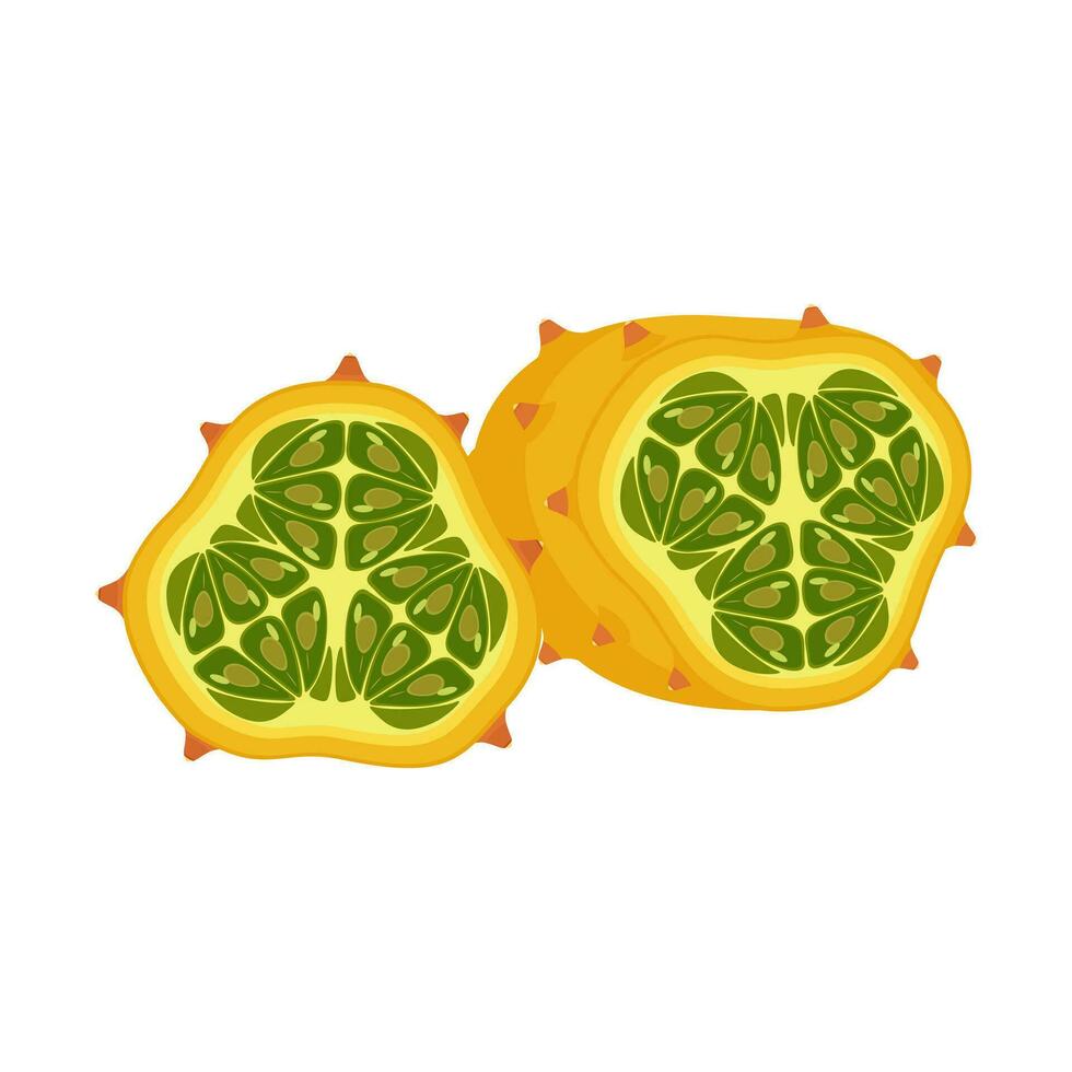 Kiwano einstellen Design mit isoliert ganze und Schnitt tropisch Obst gehörnt versetzt Melone. Orange afrikanisch Gurke im eben detailliert Vektor Stil zum Verpackung, Entwürfe, dekorativ Elemente