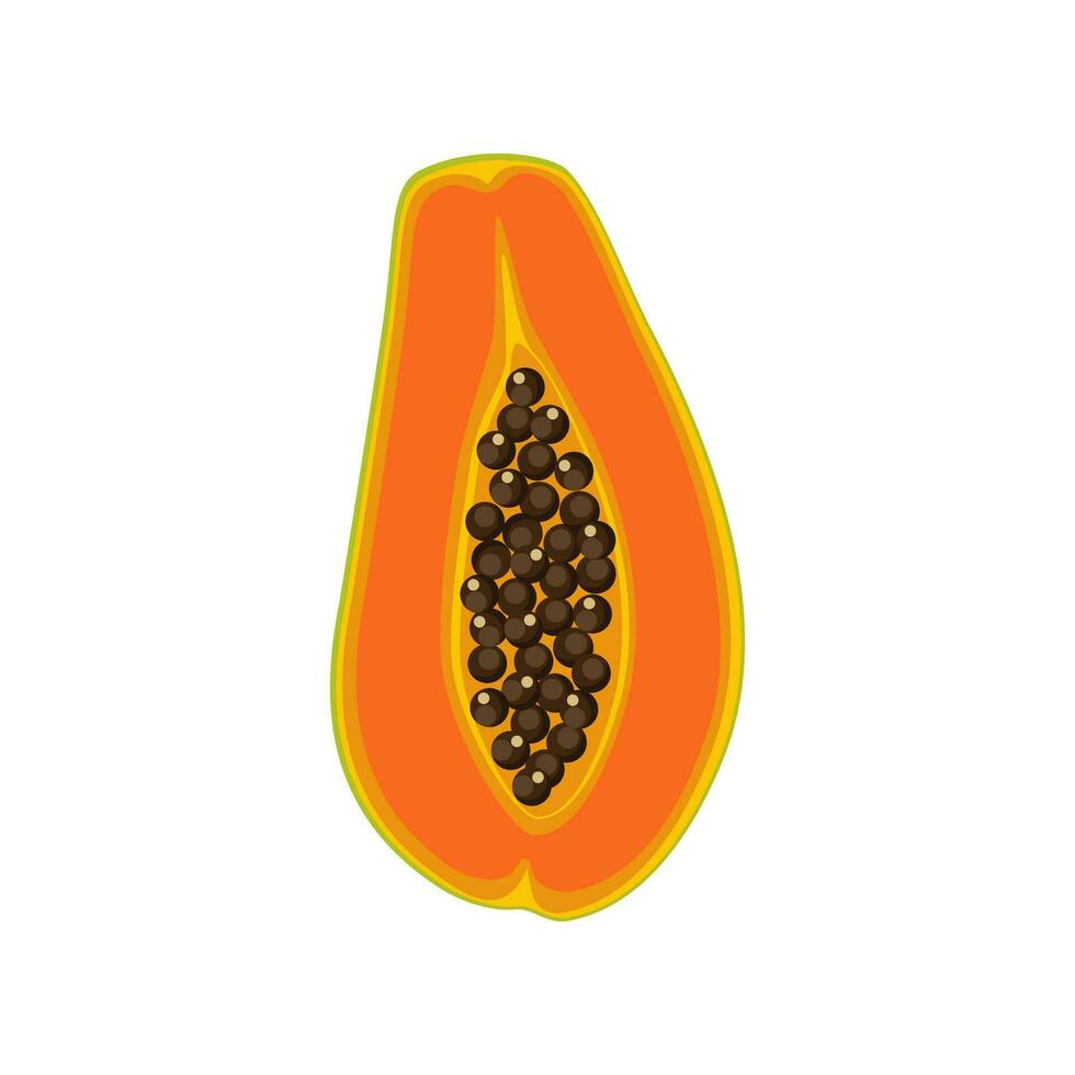 Papaya Design mit isoliert Hälften von Süss tropisch Frucht. exotisch vegan Essen im eben detailliert Vektor Stil zum Verpackung, Entwürfe, dekorativ Elemente