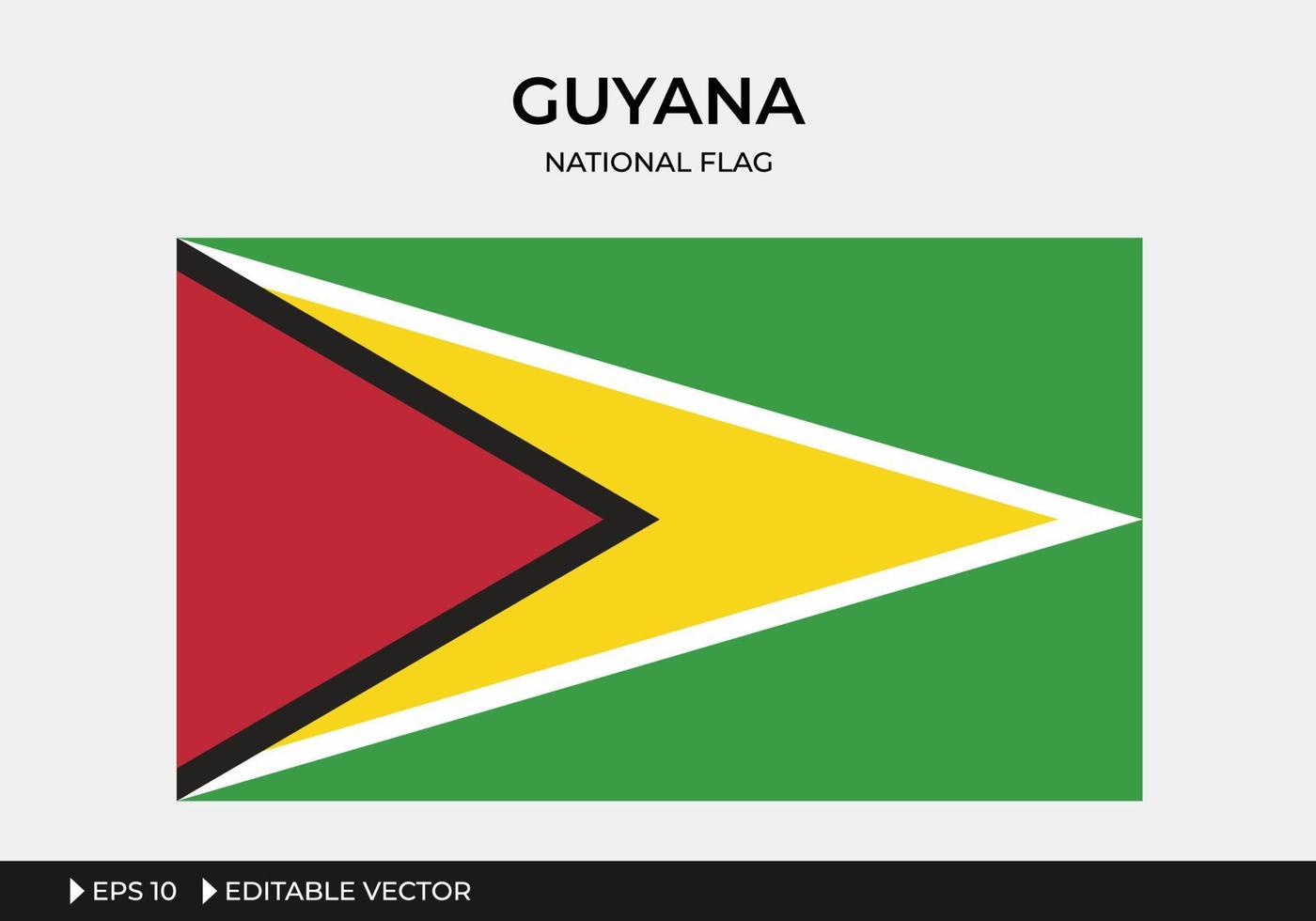 Illustration der Nationalflagge von Guyana vektor