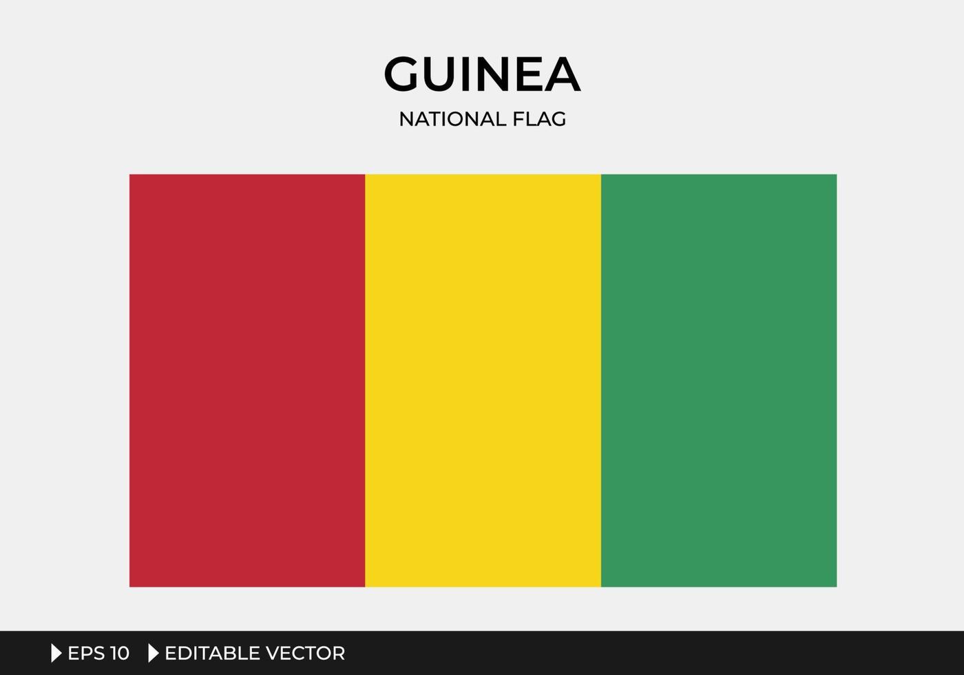 illustration av guineas nationella flagga vektor