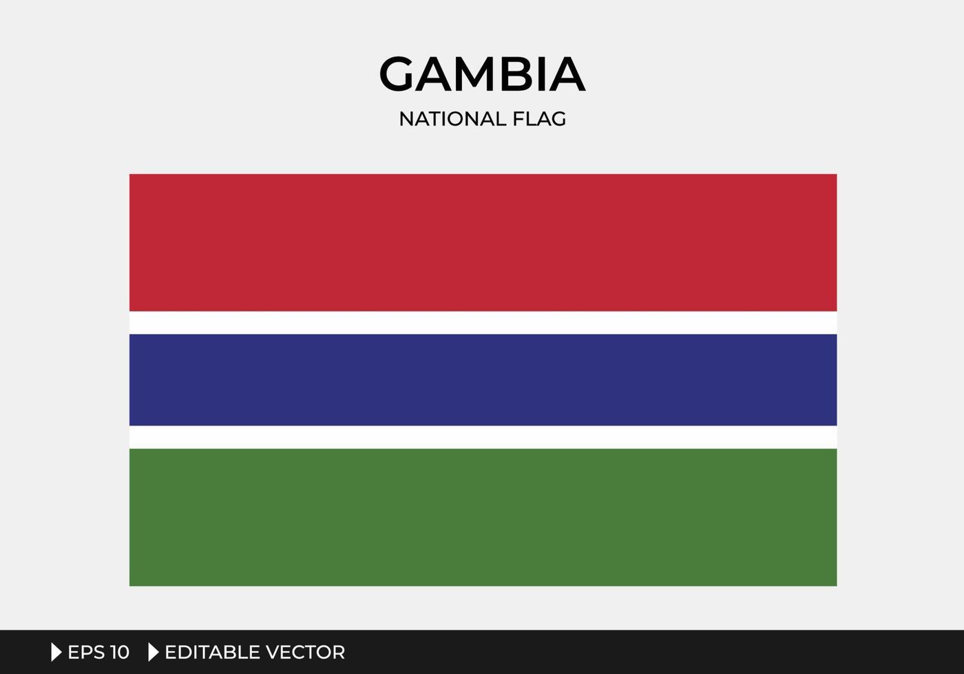 illustration av gambias nationella flagga vektor