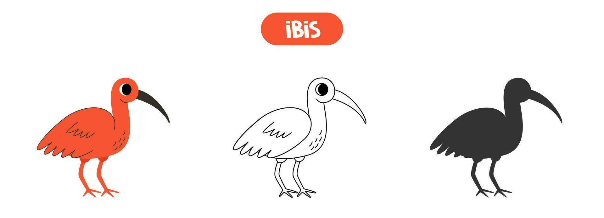 bunt Bild, schwarz und Weiß Illustration, Vektor Silhouette. Karikatur scharlachrot ibis.