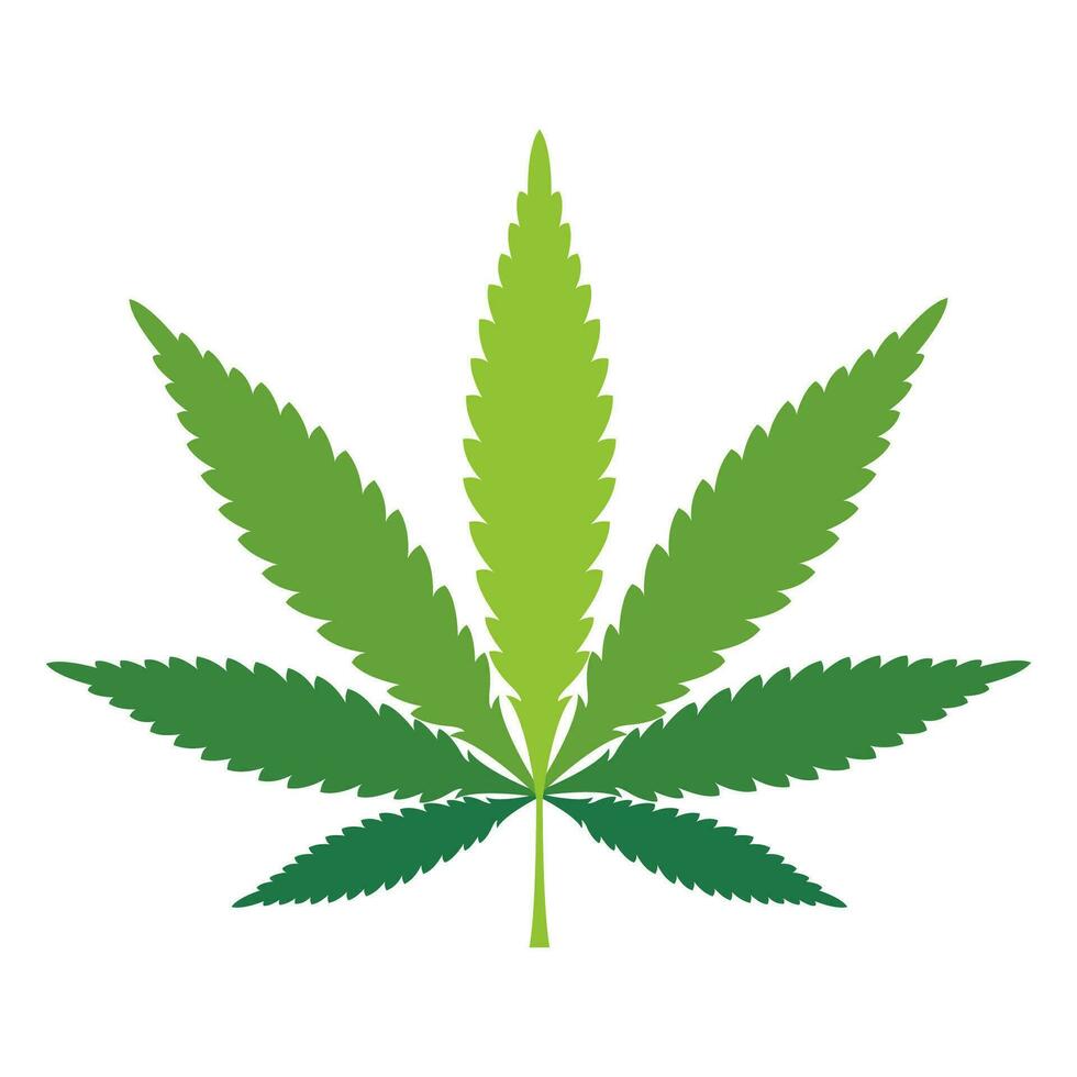 marijuana blad. medicinsk cannabis tecken ikon vektor