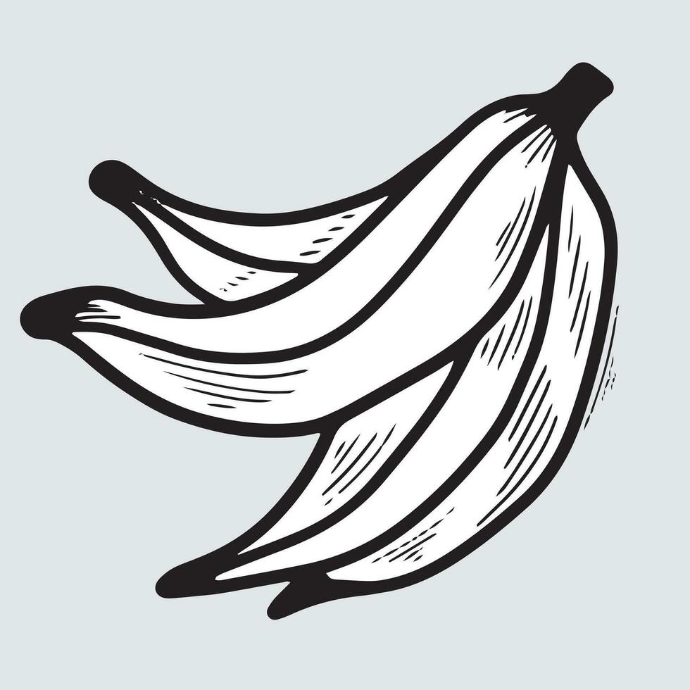 banan hand dragen med klotter stil illustration. vektor