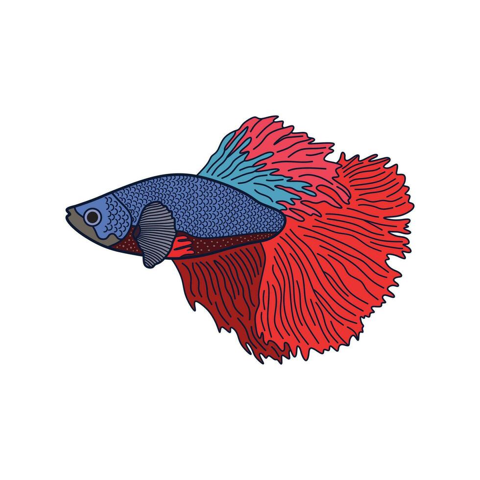 tecknad serie vektor illustration betta fisk ikon isolerat på vit bakgrund