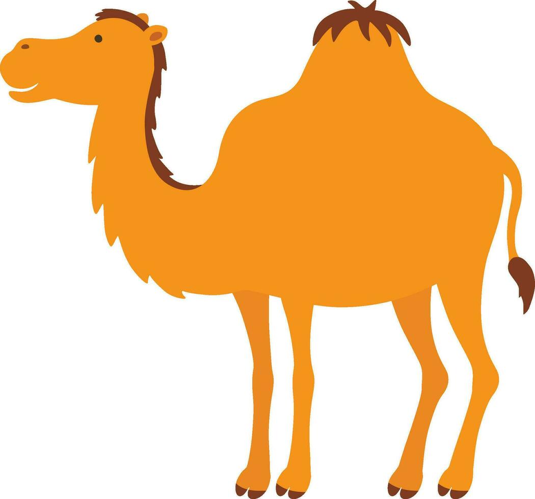 tecknad serie kamel illustration vektor