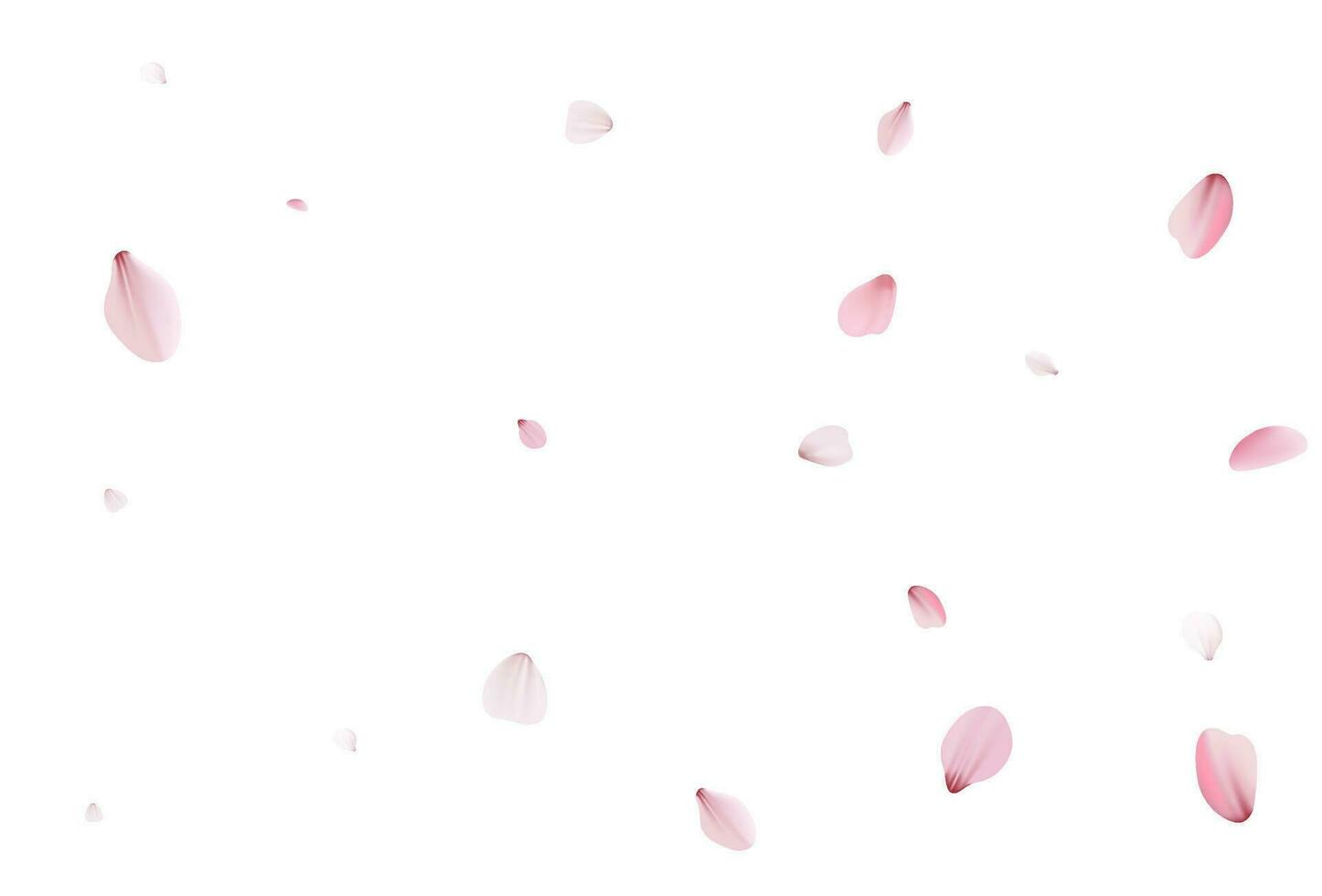 Sakura Blütenblätter. realistisch Vektor Illustration.