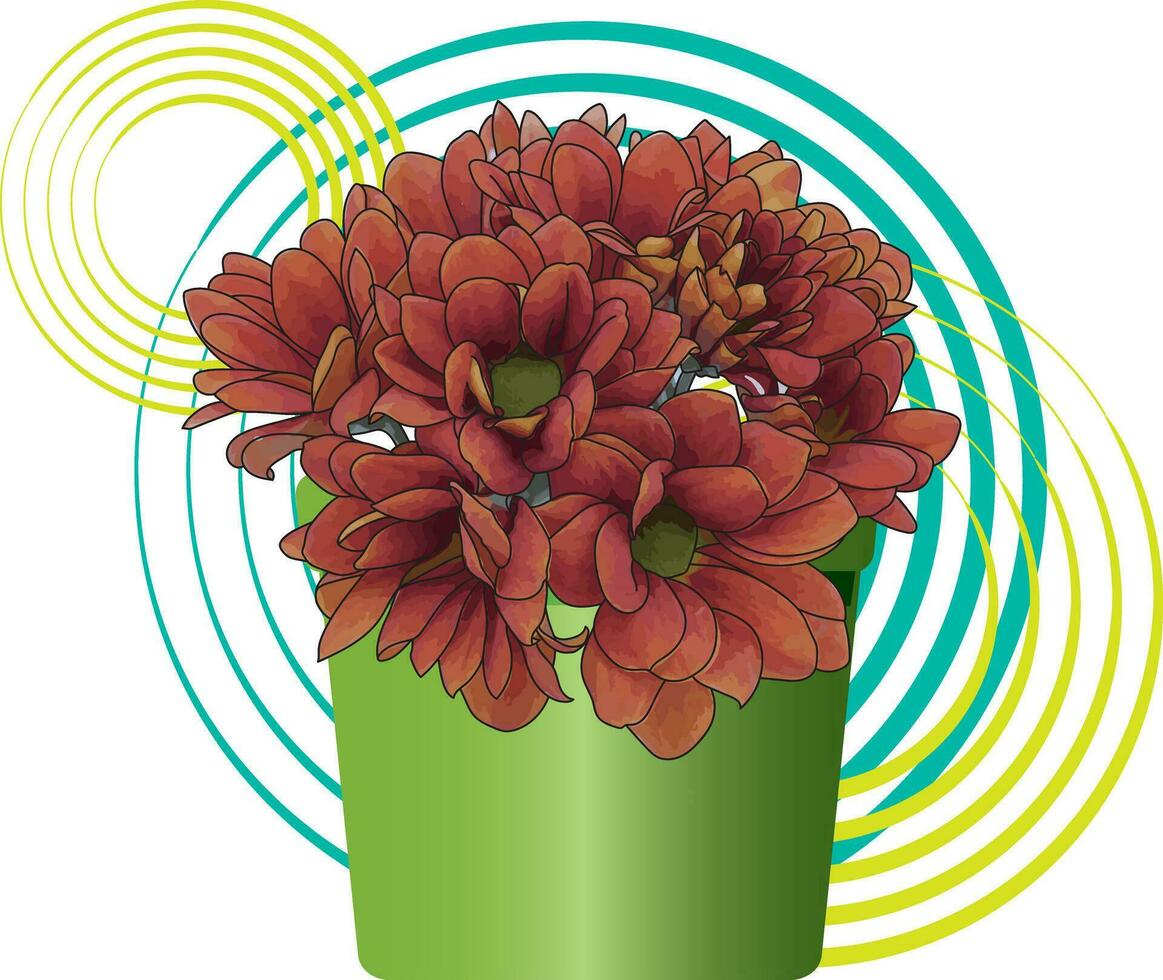 Illustration von Chrysantheme auf Kreis Farbe Hintergrund mit Grün Topf. vektor