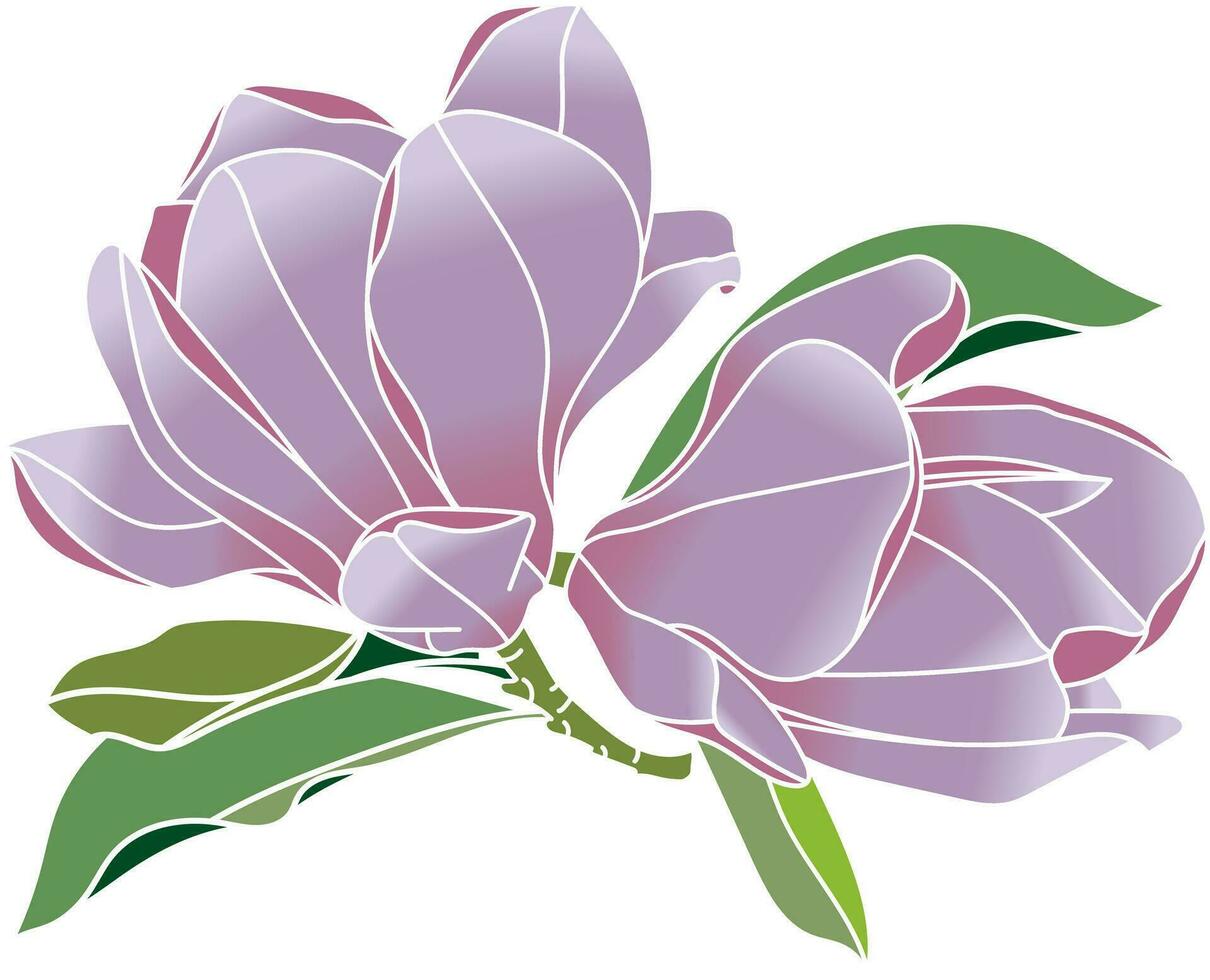 Illustration von Verbanica Untertasse Magnolie Blume sind Blühen auf leeren Hintergrund. vektor