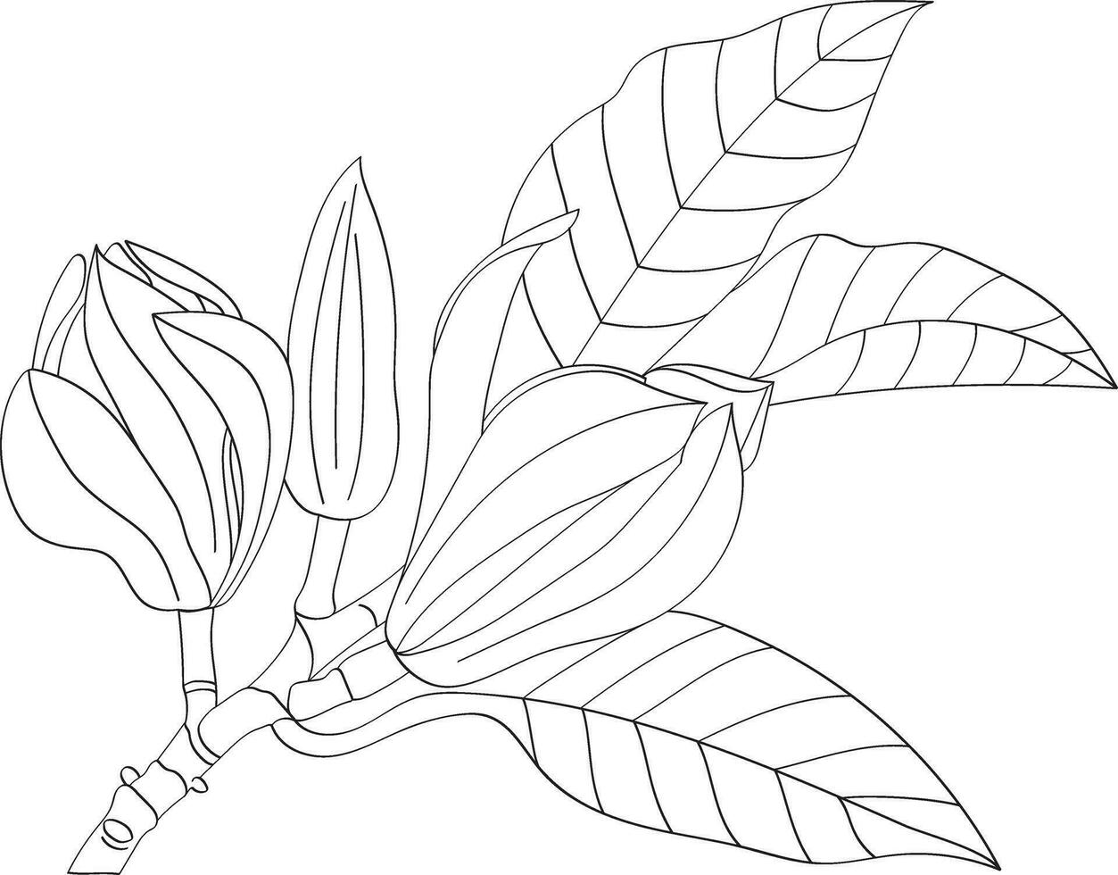 abstrakt linje av champaka blomning blomma med blad. vektor