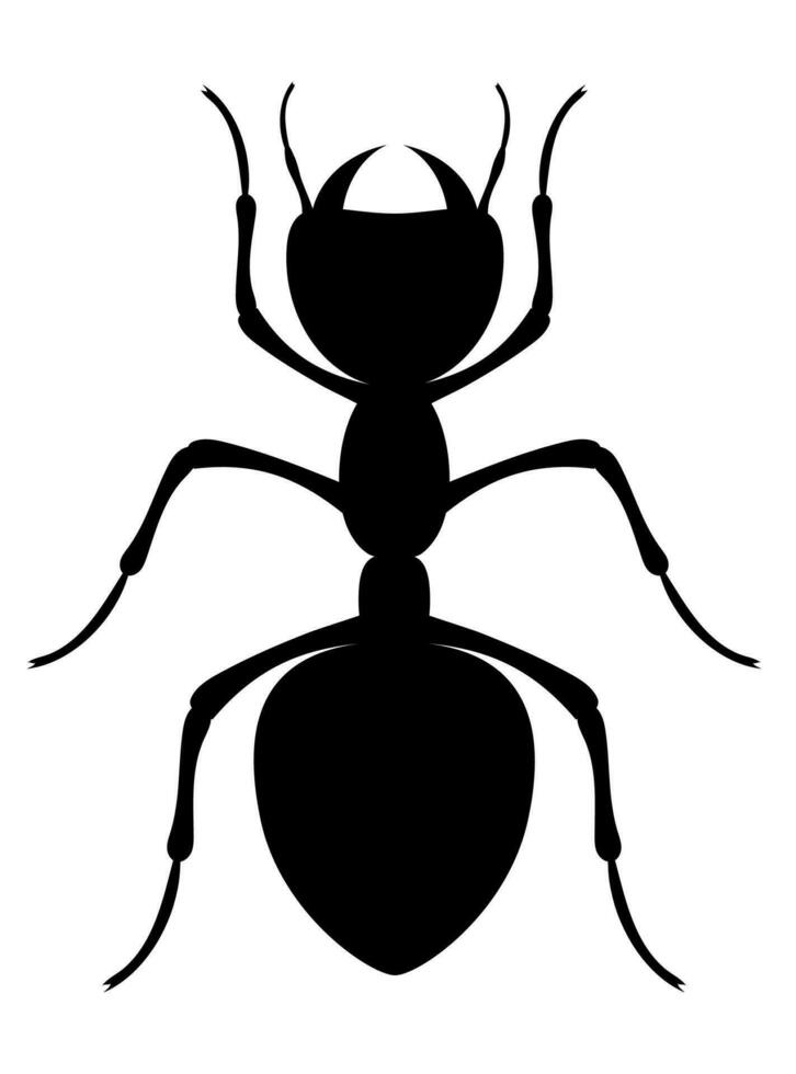 myra insekter vilda djur och växter djur vektor illustration