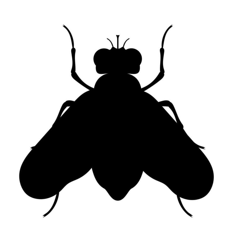fliegen Insekten Tierwelt Tiere Vektor Illustration