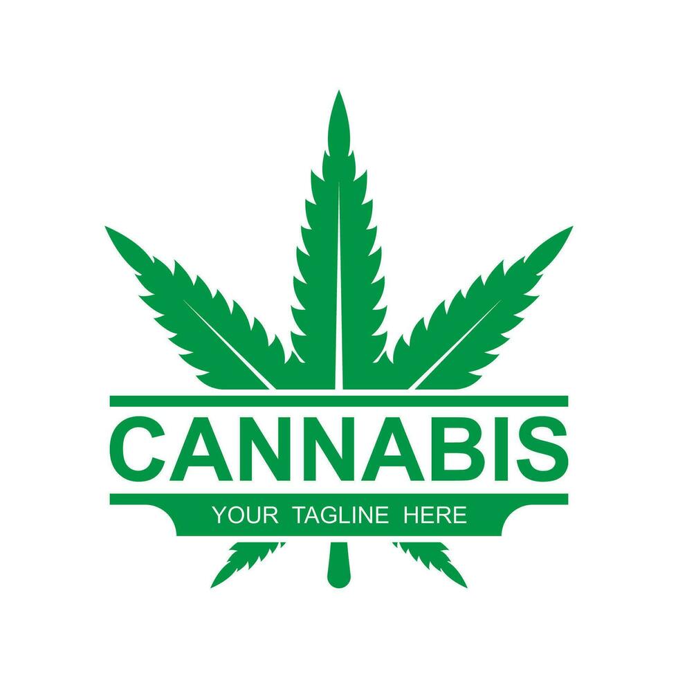 Cannabis Blatt Logo Vektor Symbol Illustration Design