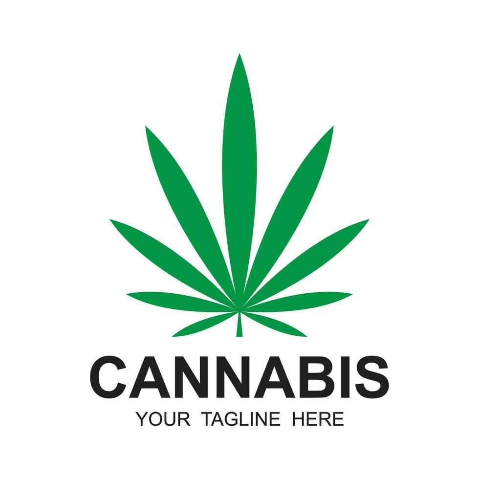 Cannabis Blatt Logo Vektor Symbol Illustration Design