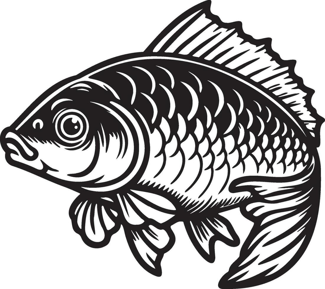 Karpfen Fisch Illustration. vektor