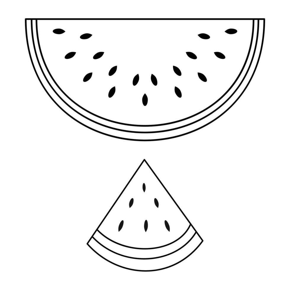 Wassermelone Palästina Symbol zum friedlich Land . Grün, Weiss, Rot, schwarz. frisch Wassermelone Obst vektor