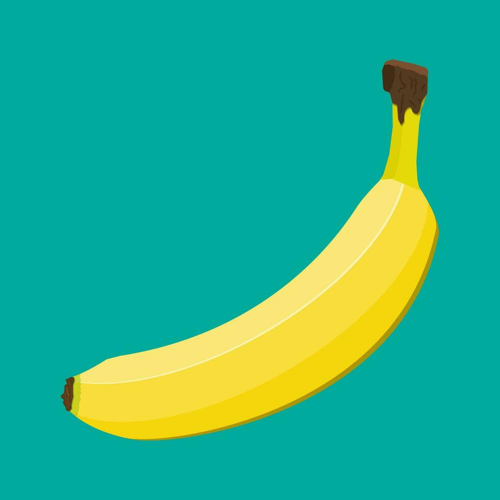 Banane isoliert auf grün. Banane frisch Frucht. Vektor Illustration im eben Stil