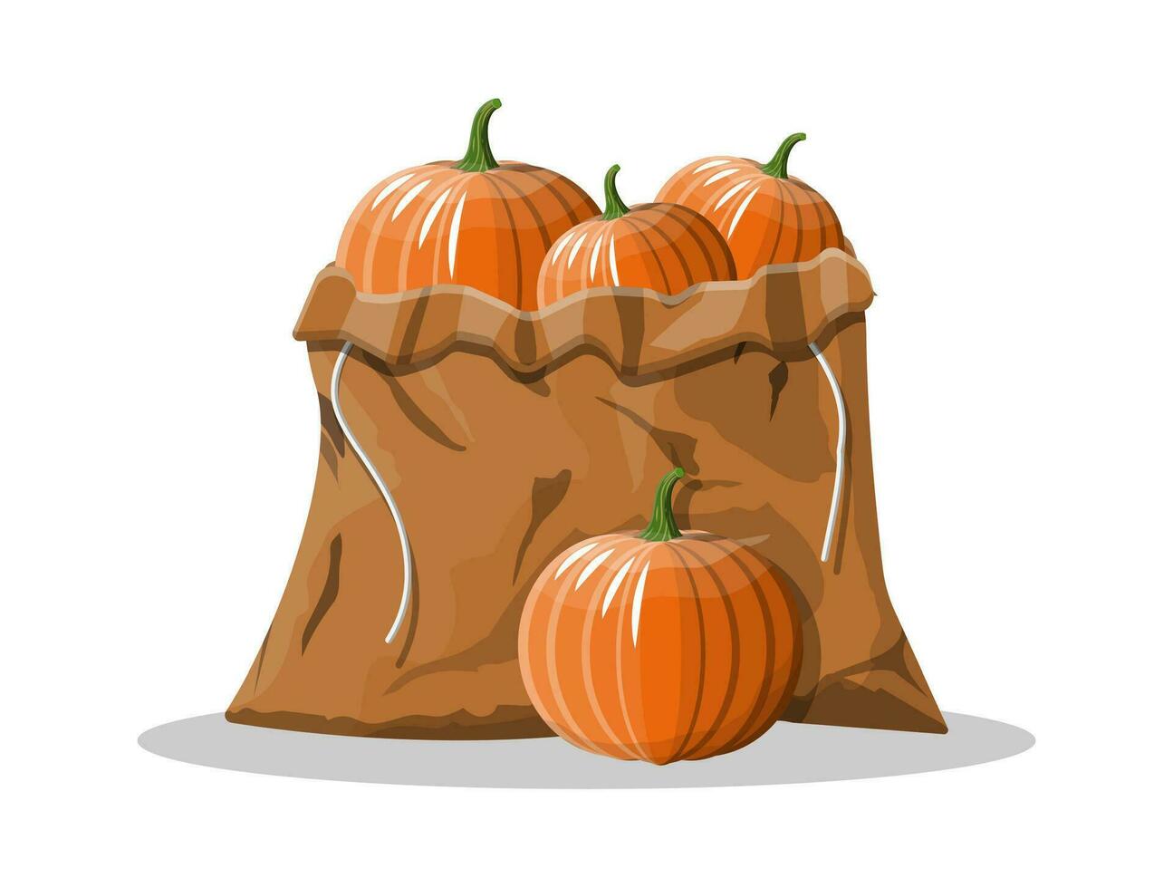 Orange Kürbis Gemüse im Segeltuch Tasche. Halloween Kürbis isoliert auf Weiß Hintergrund. Herbst Ernte. Vektor Illustration im eben Stil
