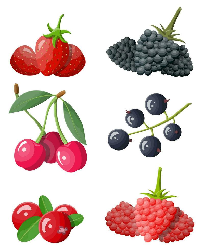 bär ikon uppsättning. tranbär, svart vinbär, ryggbär, blåbär, röd vinbär, hallon, jordgubb och körsbär.bär med grön löv. organisk friska mat. vektor illustration platt stil