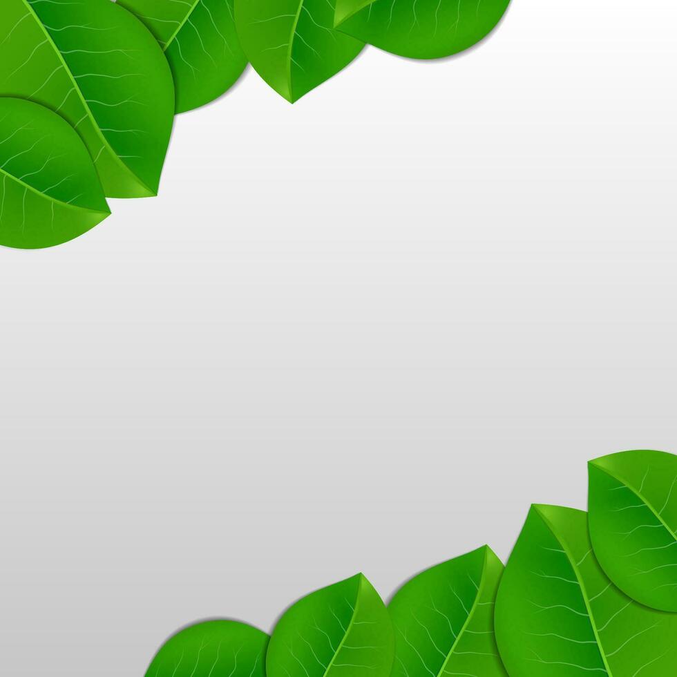 natur grön löv vektor abstrakt bakgrund illustration
