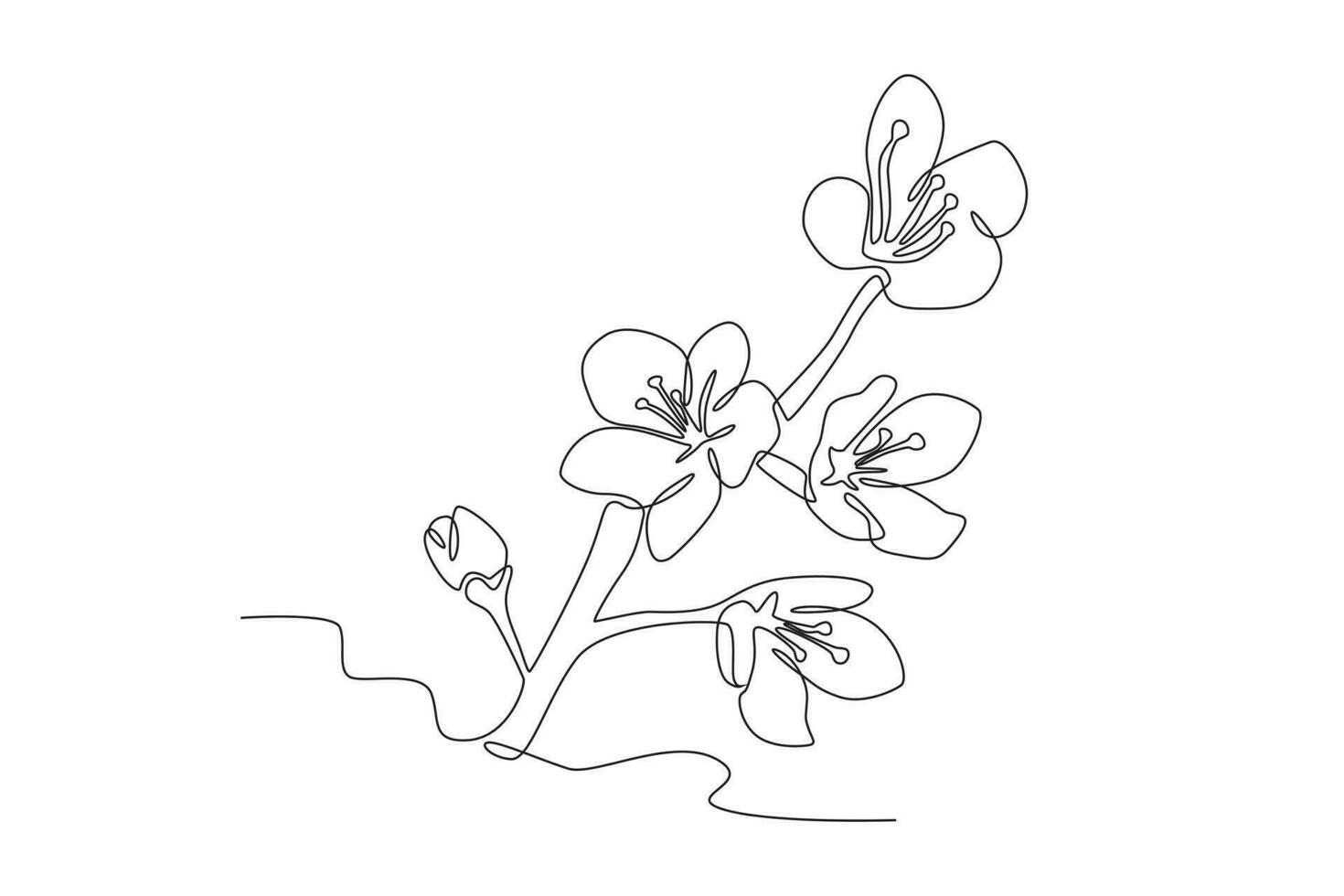 ein Baum von Kirsche Blüten Blühen vektor