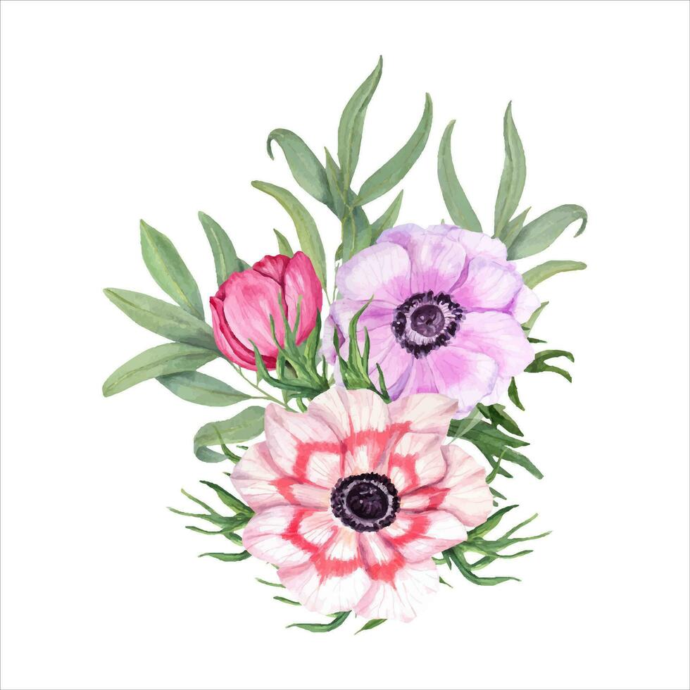 anemoner med eukalyptus. bukett av vår blommor. vattenfärg illustration vektor