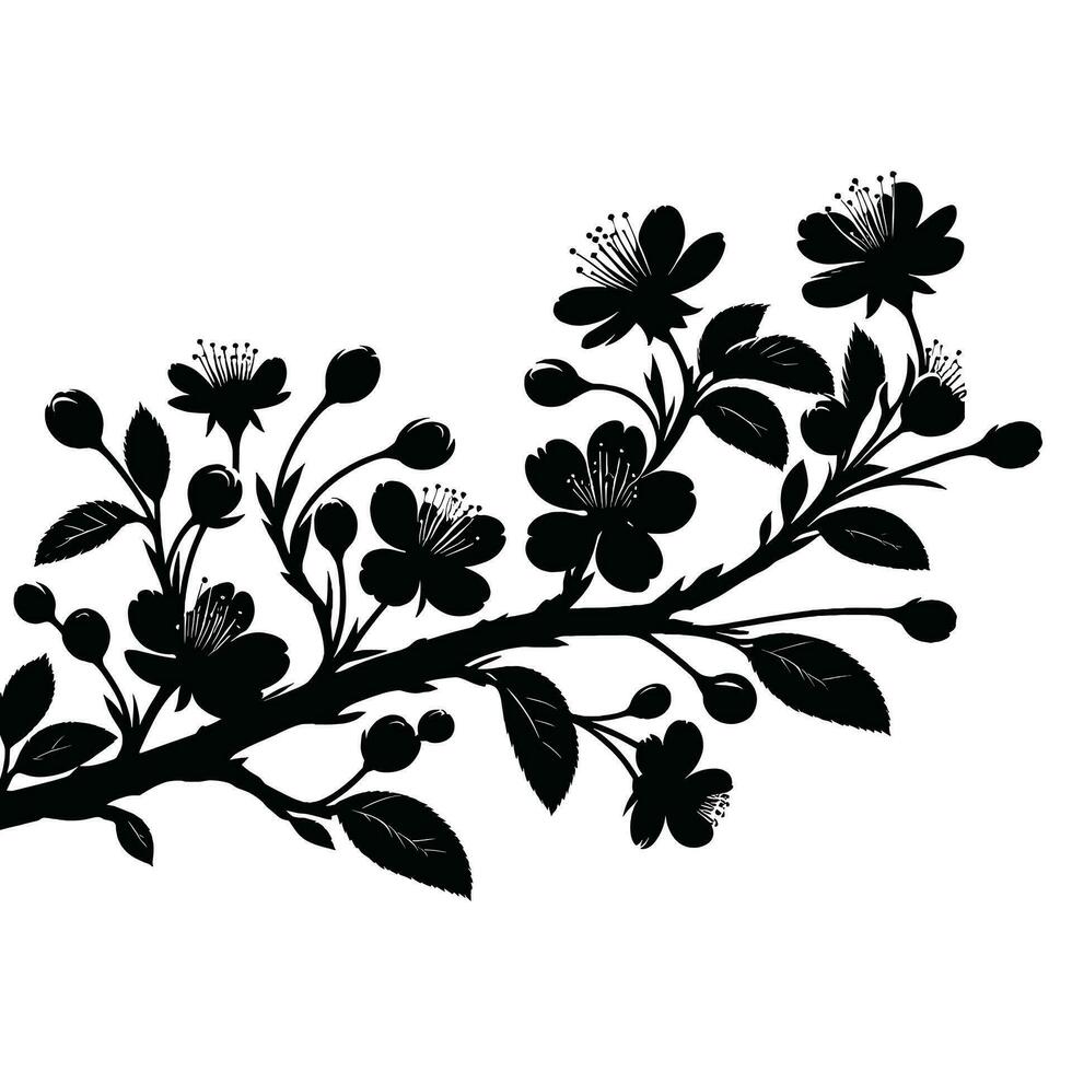 Silhouette von Kirsche Blumen im klein Cluster auf ein Kirsche Baum Ast auf Weiß Hintergrund vektor