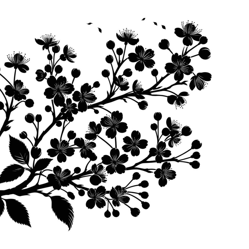 Silhouette von Kirsche Blumen im klein Cluster auf ein Kirsche Baum Ast auf Weiß Hintergrund vektor
