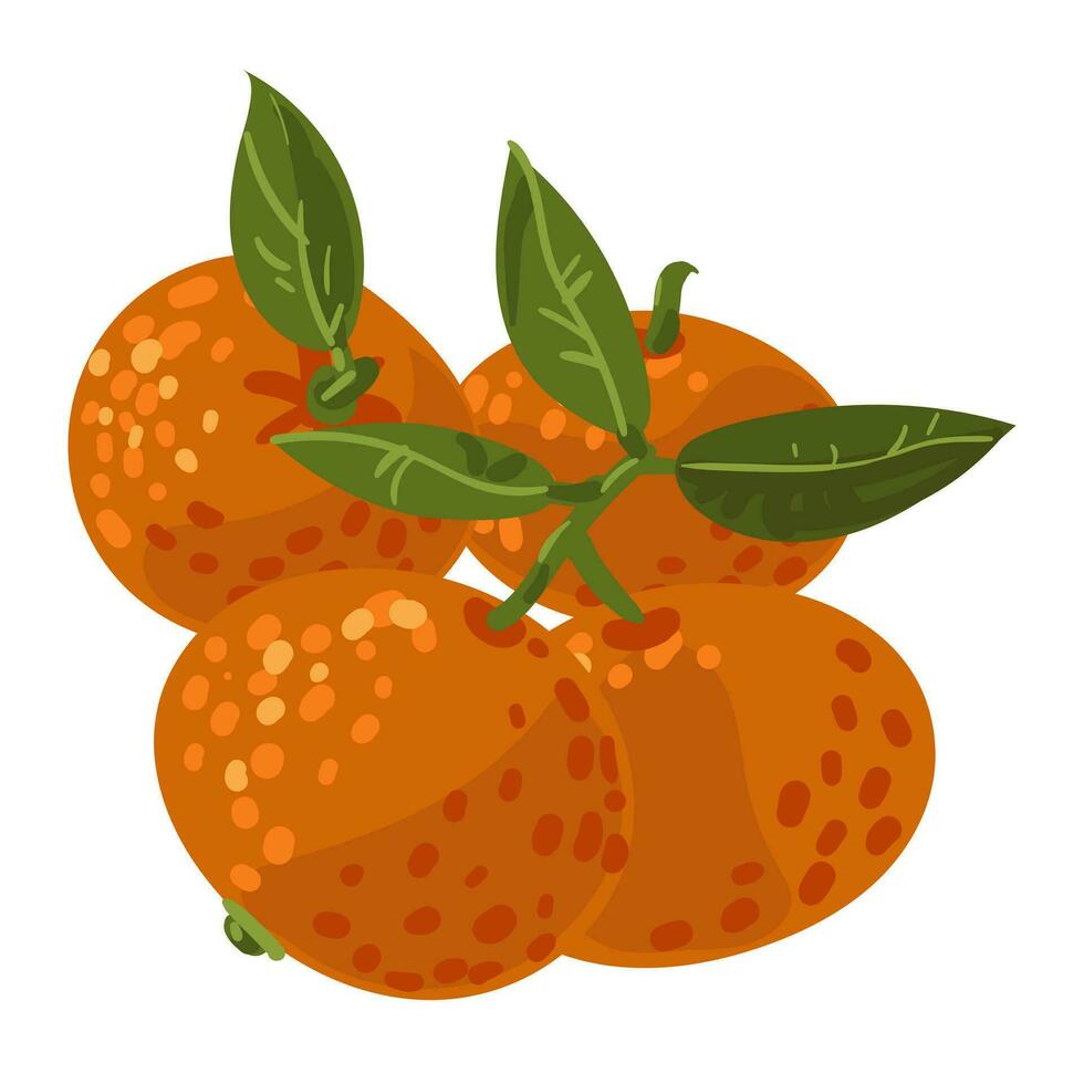 de mandariner grupp. vektor illustration av en hela citrus- frukt, en gren med citrus- frukt isolerat på en vit bakgrund. tecknad serie platt stil, ritad för hand, fläckar prickar