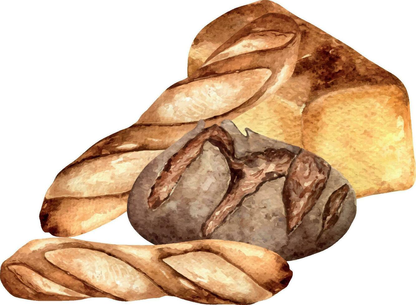 Roggen Brot ganze Aquarell Illustration isoliert auf Weiß Hintergrund. Hand gezeichnet Kompositionen von Weiß Brot zum Bäckerei. gemalt Stangenbrot Seite Sicht. Element zum Design Bäckerei, Beschilderung, Verpackung vektor