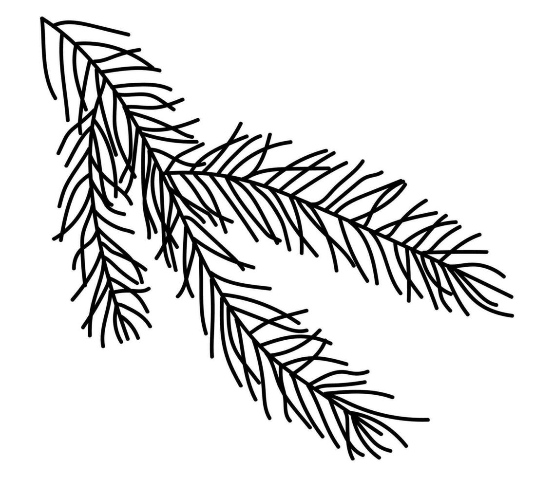 handgemacht Fichte Ast. Kritzeleien gemacht von ein Nadelbaum Baum Ast. Weihnachten und Winter Design Elemente vektor