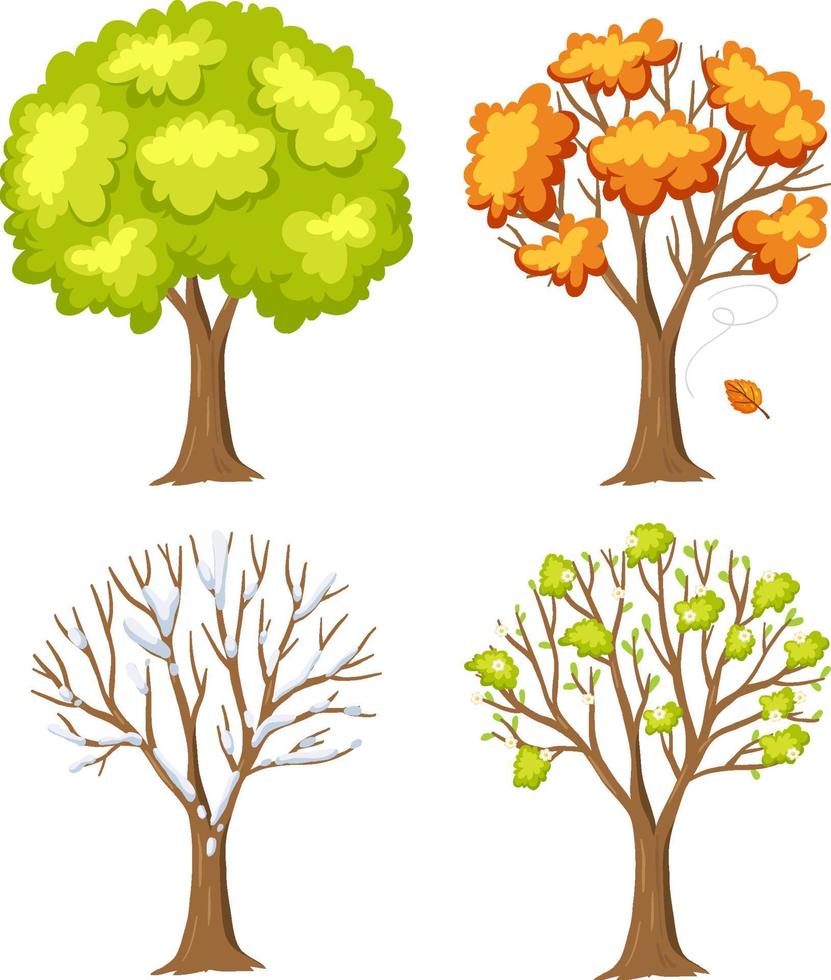 uppsättning träd i olika säsonger vektor