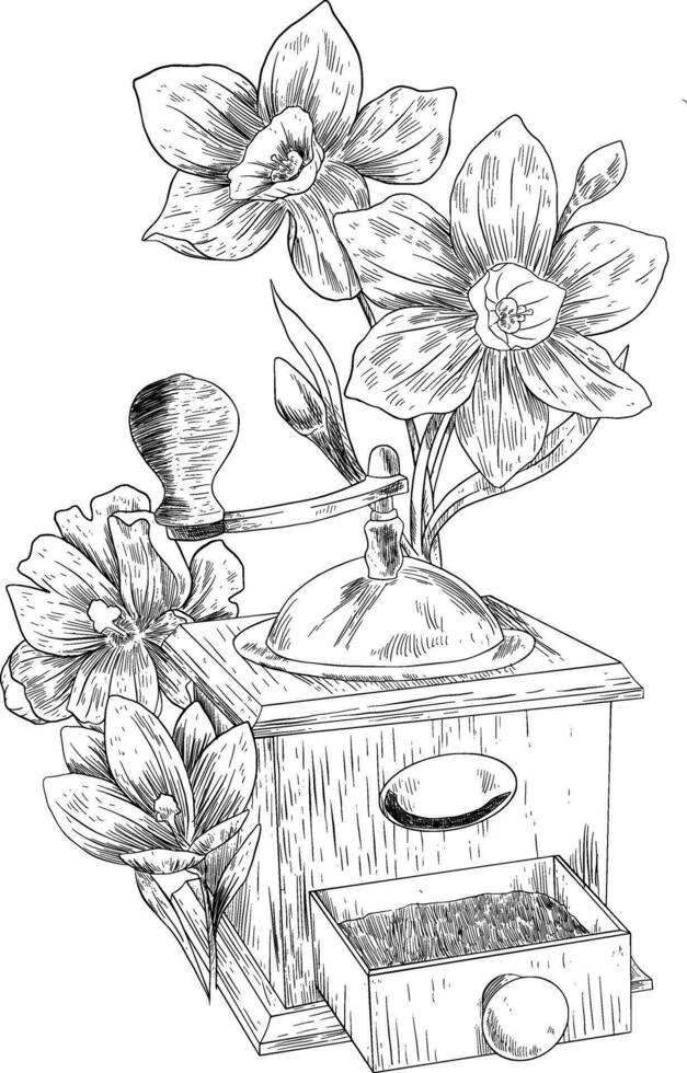 årgång kaffe kvarn med blomma botanisk skiss hand dragen vektor