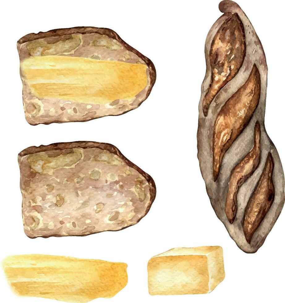 Roggen Stangenbrot ganze und Scheibe Aquarell Illustration isoliert auf Weiß Hintergrund. Hand gezeichnet Scheibe von Brot und Butter einstellen zum Bäckerei. gemalt Brot Verbreitung Butter . Elemente zum Poster, Lebensmittelgeschäft vektor