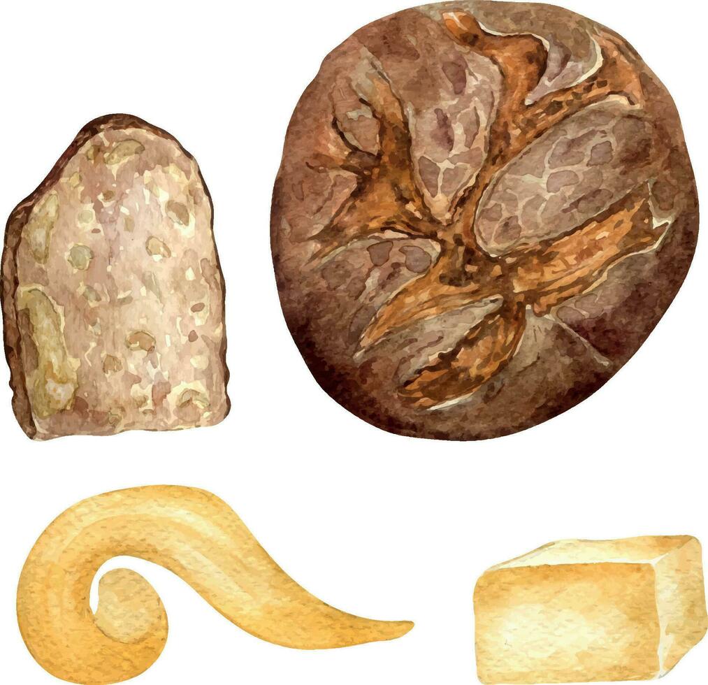 Roggen Brot ganze und Scheibe Aquarell Illustration isoliert auf Weiß Hintergrund. Hand gezeichnet rustikal Scheibe von Brot und Butter einstellen zum Bäckerei. gemalt Brot Verbreitung Butter . Elemente zum Poster, Lebensmittelgeschäft vektor