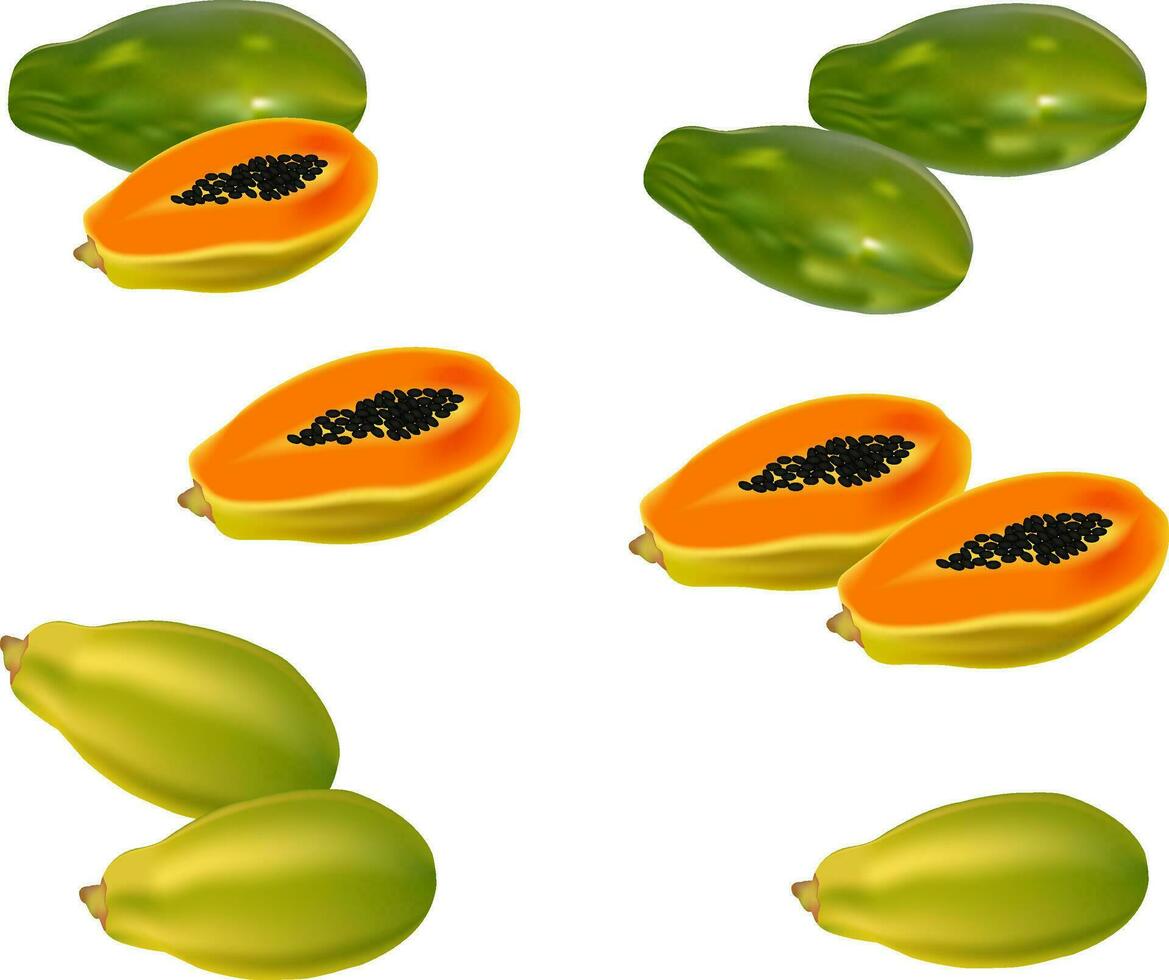 illustration av papaya vektor design på vit bakgrund