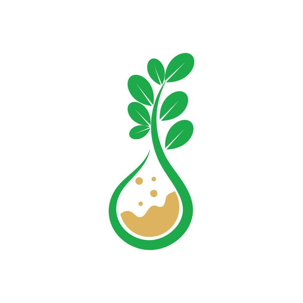 Moringa Logo Vektor Vorlage Symbol Natur