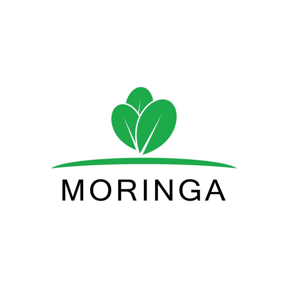 moringa logotyp vektor mall symbol natur