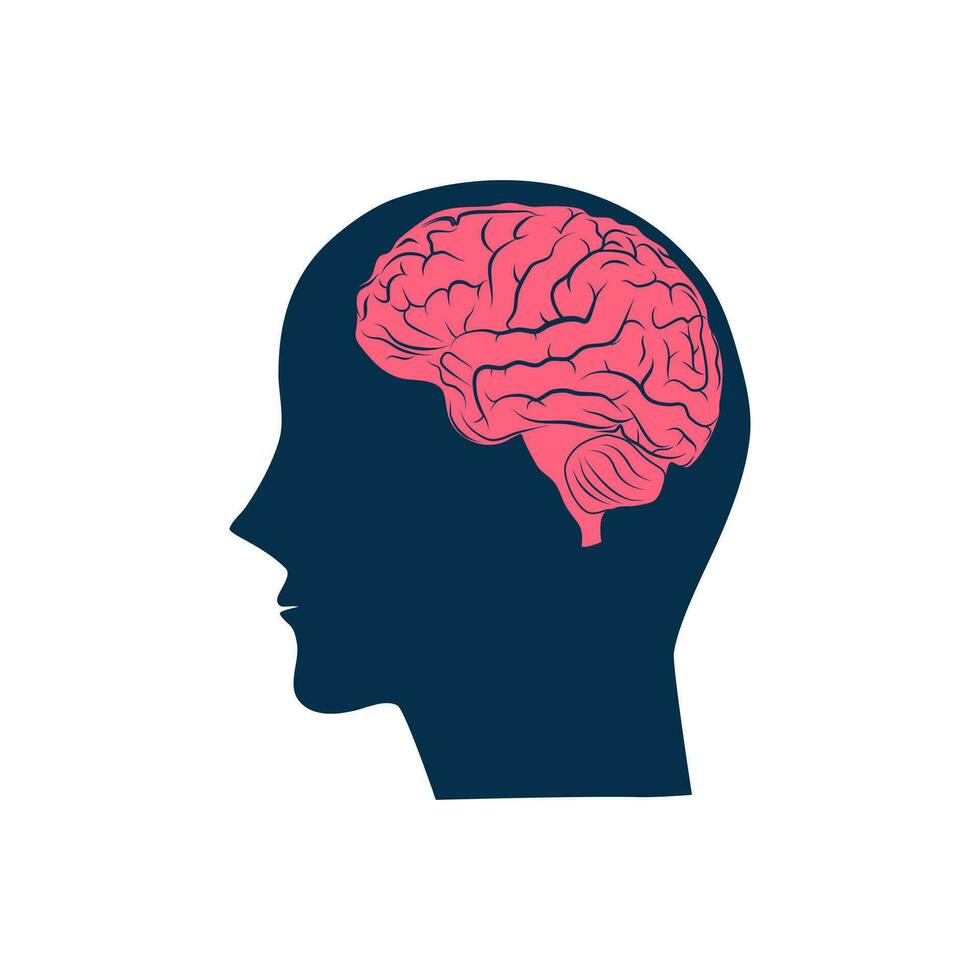 Mensch Kopf und Gehirn Symbol. Verstand Konzept. isoliert auf Weiß Hintergrund. Vektor Illustration