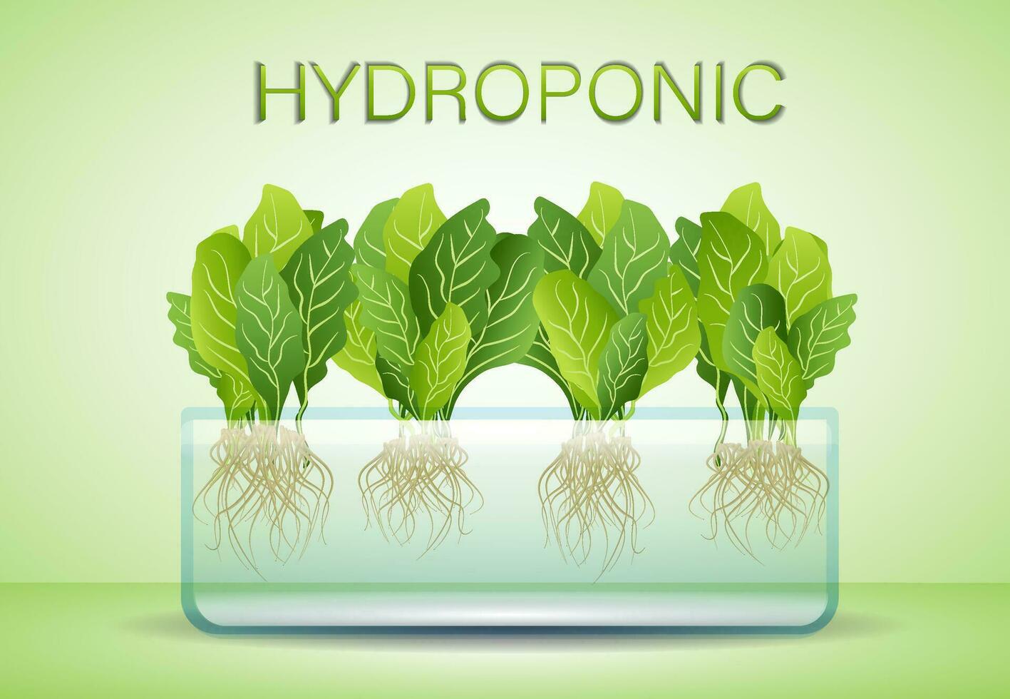 tragbar hydroponisch aeroponic System zum umweltfreundlich wachsend von Grün Kopfsalat, Gemüse und Kräuter vektor