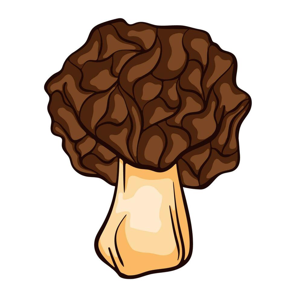 falsch Morchel ungenießbar Pilz im Karikatur Stil. großartig zum Speisekarte, Etikett, Produkt Verpackung, Rezept. Vektor Illustration isoliert auf ein Weiß Hintergrund. Morchella Gyromitra esculenta.