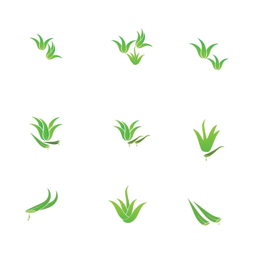 Aloe Vera-Logo vektor