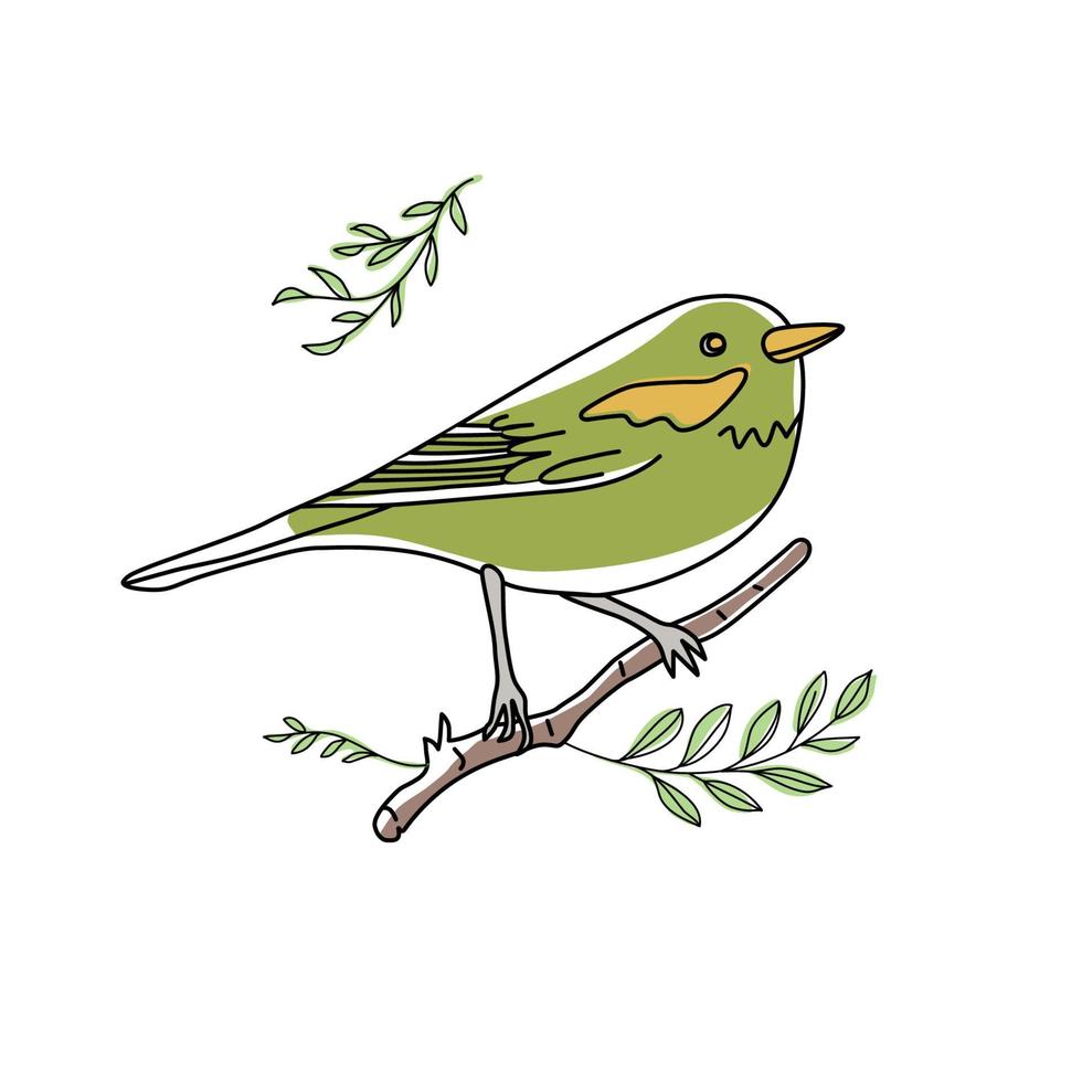fågel illustration. samling söta handritade fågelklotter. linje stil i minimalism på vit vektorbild vektor
