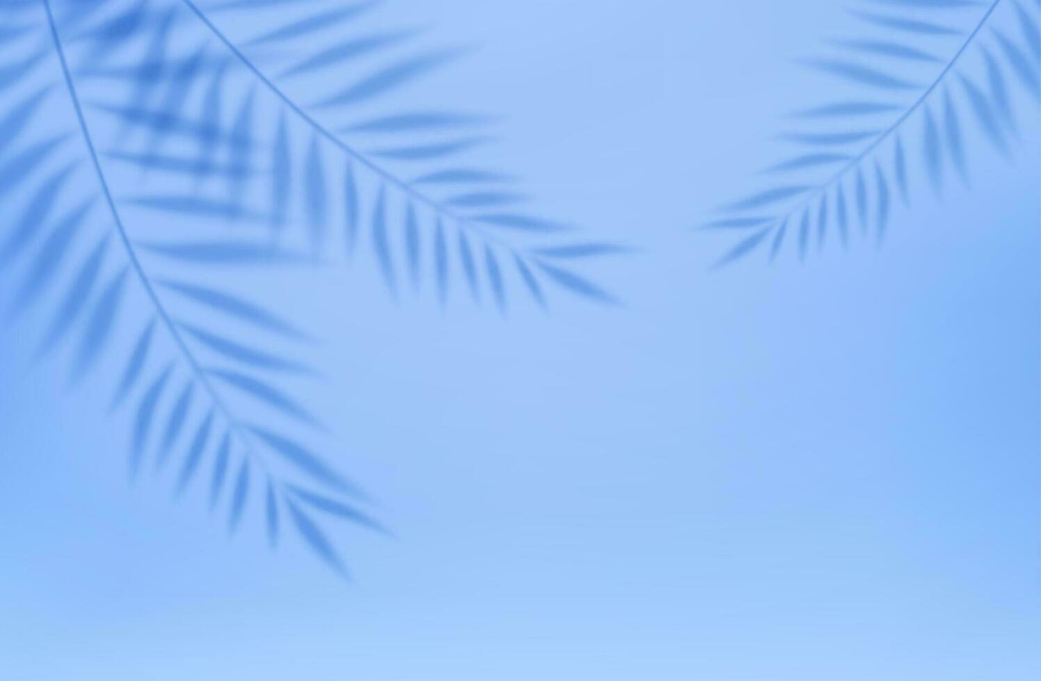 3d tömma ljus studio abstrakt bakgrund med strålkastare effekt och tropisk handflatan löv skugga. begrepp för din grafisk design affisch baner och bakgrund. 3d tolkning. vektor illustration