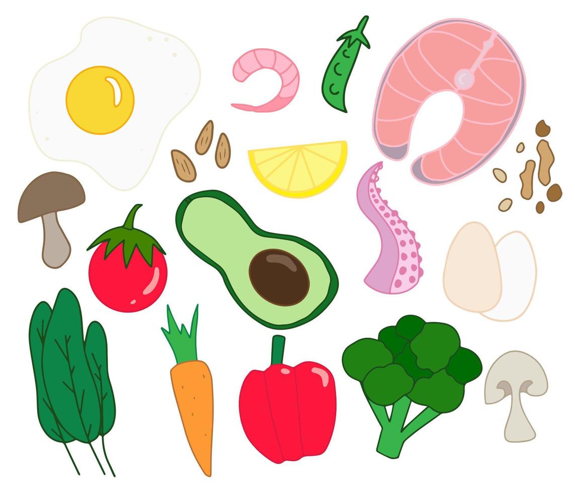 isolerade färgglada keto mat ritning. ketogen kost doodle. bakgrund med hälsosamma livsmedelsingredienser på vit bakgrund för banner, tapeter, meny. vektor eps 10