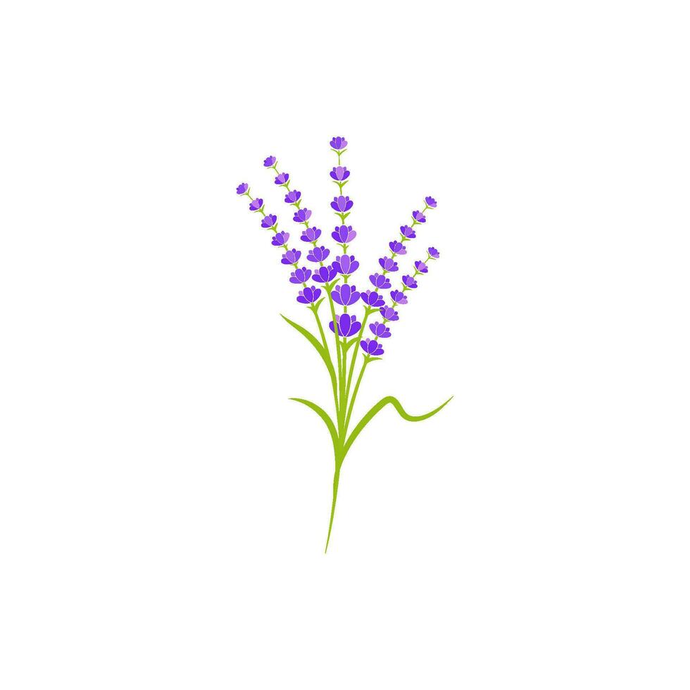 lavendel- blomma vektor ikon illustration