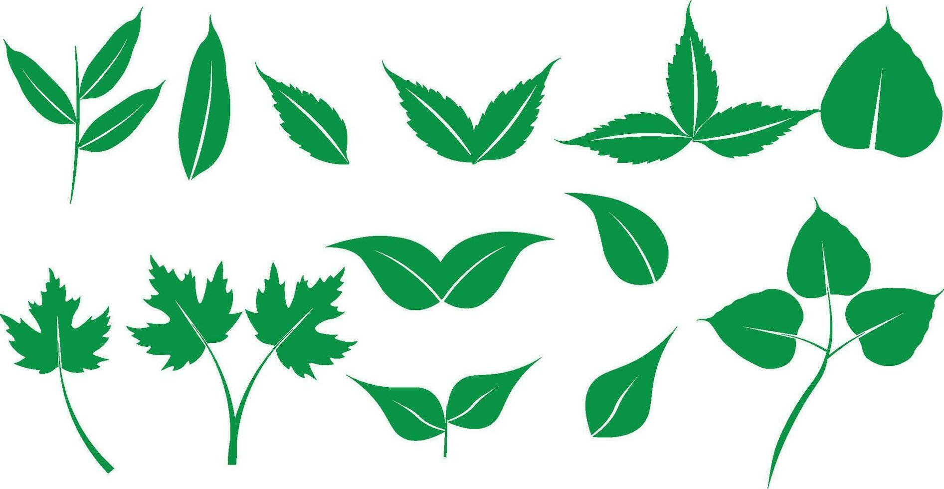 Grün Blätter Farbe editierbar Vektor