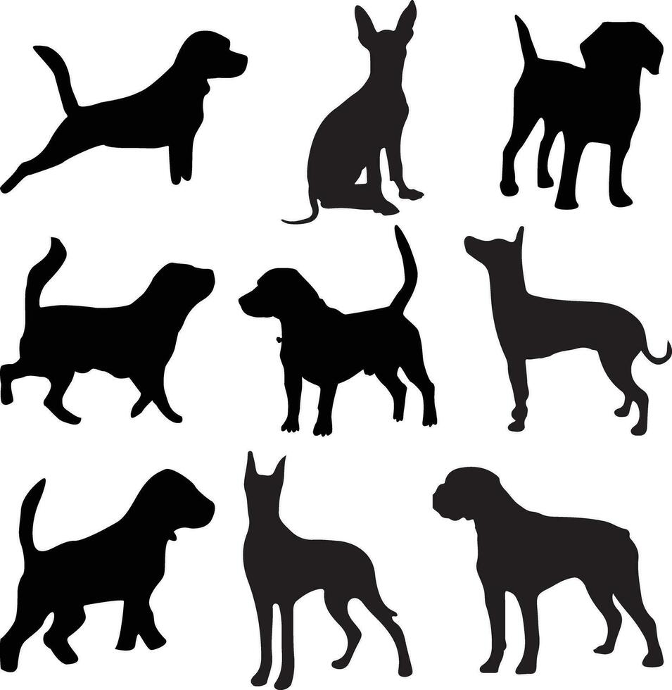 Tier Hund Haustier Silhouette Vektor Hündchen Illustration komisch Tier Silhouette